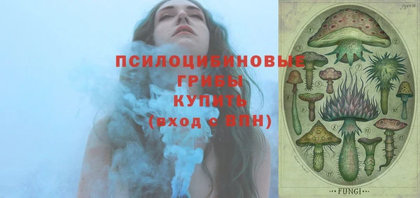 apvp Арсеньев