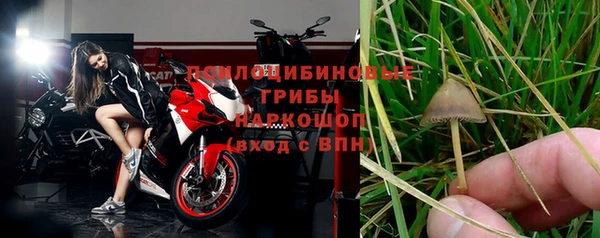 ПСИЛОЦИБИНОВЫЕ ГРИБЫ Аркадак
