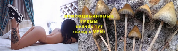 apvp Арсеньев
