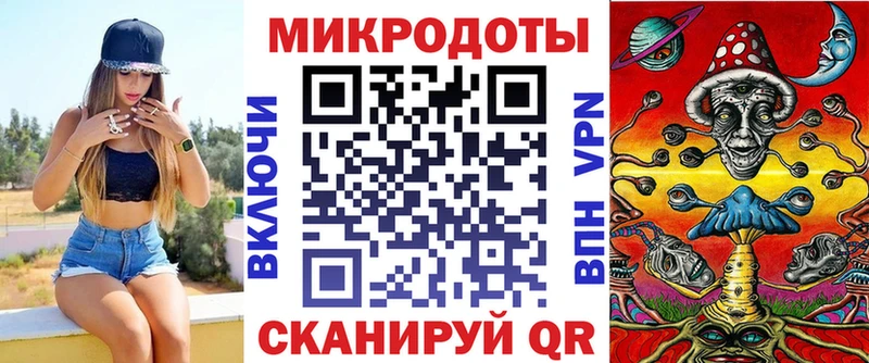 Псилоцибиновые грибы Psilocybine cubensis  Петропавловск-Камчатский 